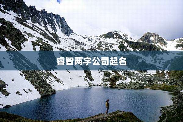 睿智两字公司起名