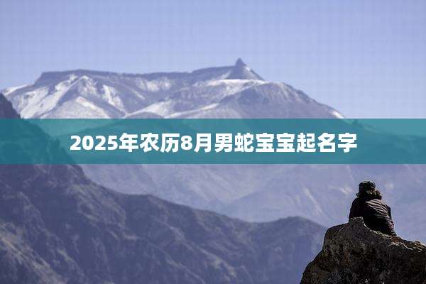 2025年农历8月男蛇宝宝起名字