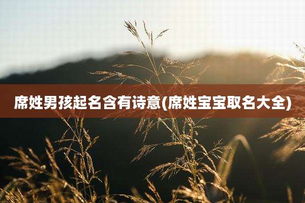 席姓男孩起名含有诗意(席姓宝宝取名大全)