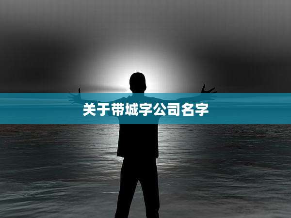 关于带城字公司名字