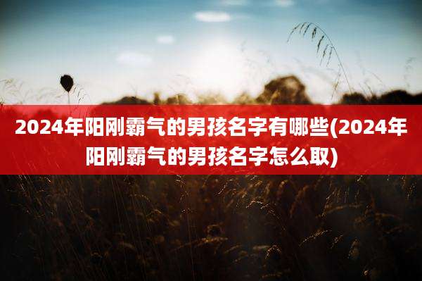 2024年阳刚霸气的男孩名字有哪些(2024年阳刚霸气的男孩名字怎么取)
