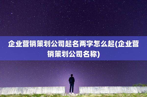 企业营销策划公司起名两字怎么起(企业营销策划公司名称)