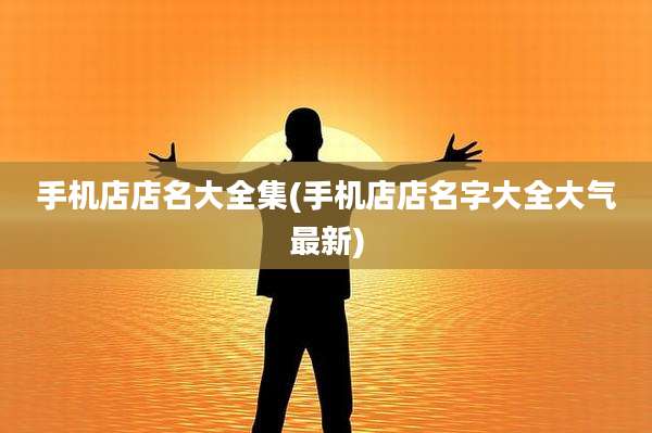 手机店店名大全集(手机店店名字大全大气最新)