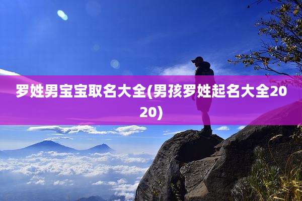 罗姓男宝宝取名大全(男孩罗姓起名大全2020)