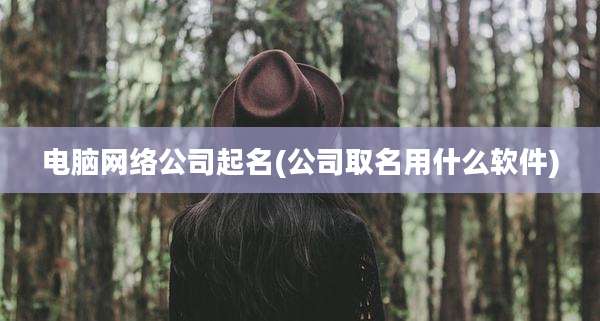 电脑网络公司起名(公司取名用什么软件)