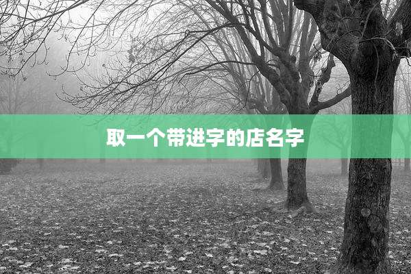 取一个带进字的店名字