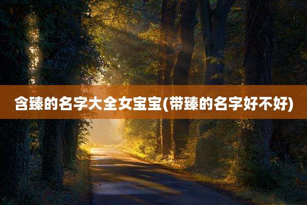 含臻的名字大全女宝宝(带臻的名字好不好)