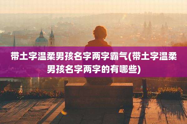 带土字温柔男孩名字两字霸气(带土字温柔男孩名字两字的有哪些)
