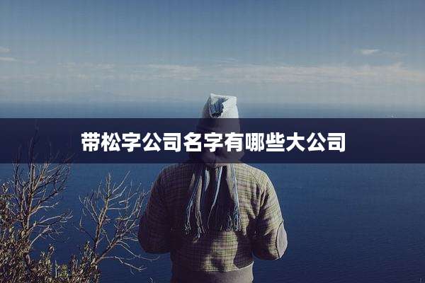 带松字公司名字有哪些大公司