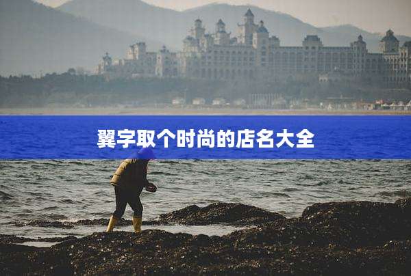 翼字取个时尚的店名大全