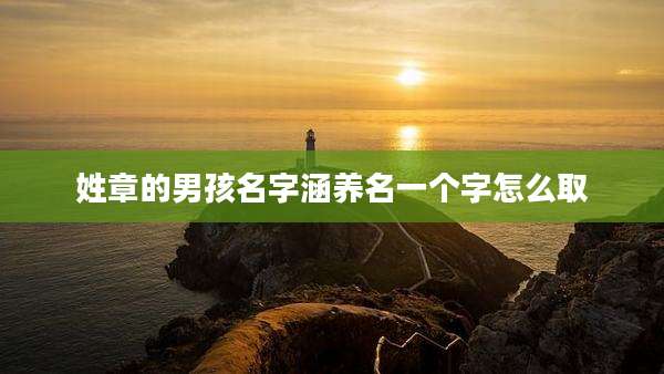 姓章的男孩名字涵养名一个字怎么取