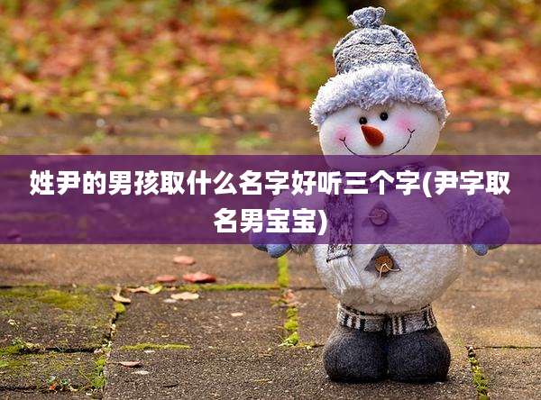 姓尹的男孩取什么名字好听三个字(尹字取名男宝宝)