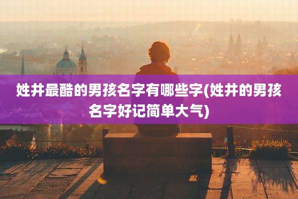 姓井最酷的男孩名字有哪些字(姓井的男孩名字好记简单大气)