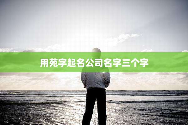用苑字起名公司名字三个字