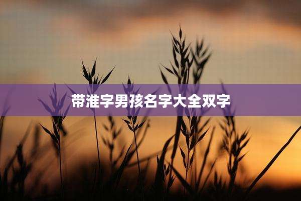 带淮字男孩名字大全双字