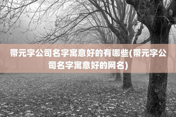 带元字公司名字寓意好的有哪些(带元字公司名字寓意好的网名)