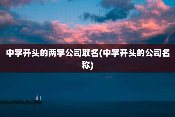 中字开头的两字公司取名(中字开头的公司名称)