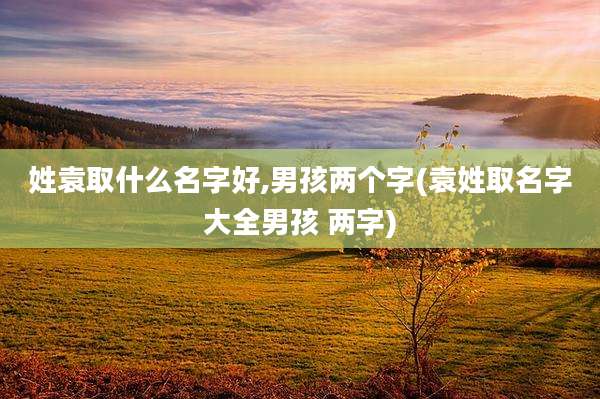 姓袁取什么名字好,男孩两个字(袁姓取名字大全男孩 两字)