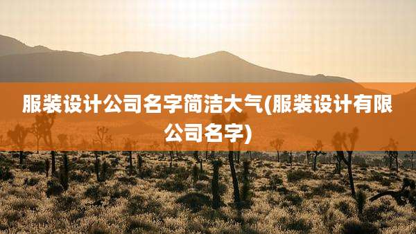 服装设计公司名字简洁大气(服装设计有限公司名字)