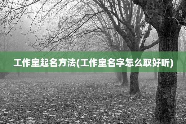 工作室起名方法(工作室名字怎么取好听)