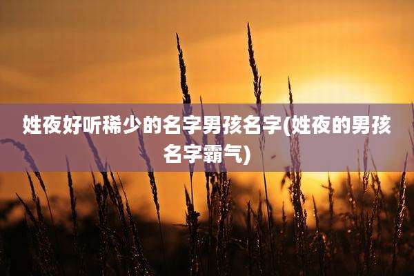 姓夜好听稀少的名字男孩名字(姓夜的男孩名字霸气)