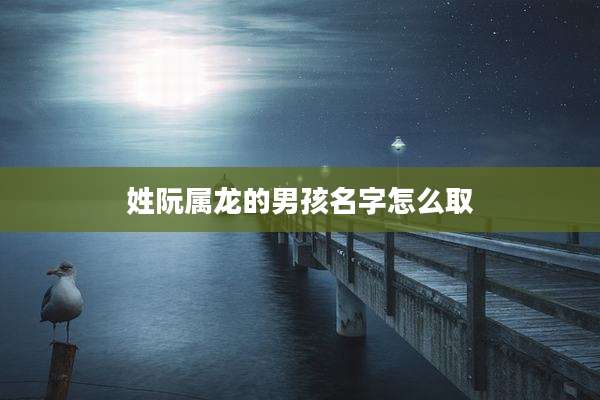 姓阮属龙的男孩名字怎么取