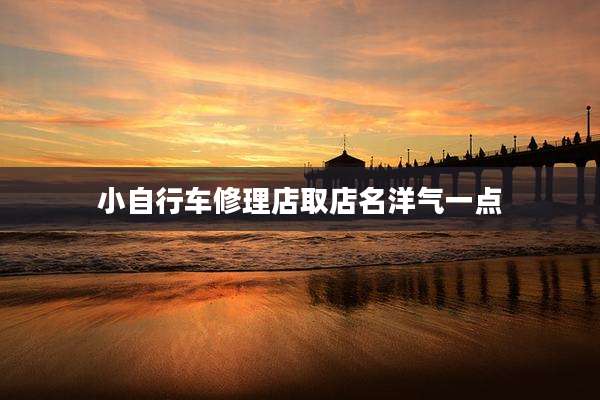 小自行车修理店取店名洋气一点
