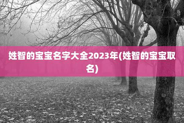 姓智的宝宝名字大全2023年(姓智的宝宝取名)
