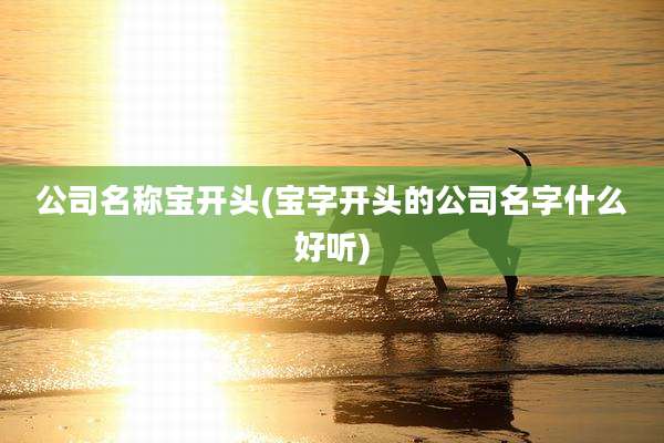 公司名称宝开头(宝字开头的公司名字什么好听)