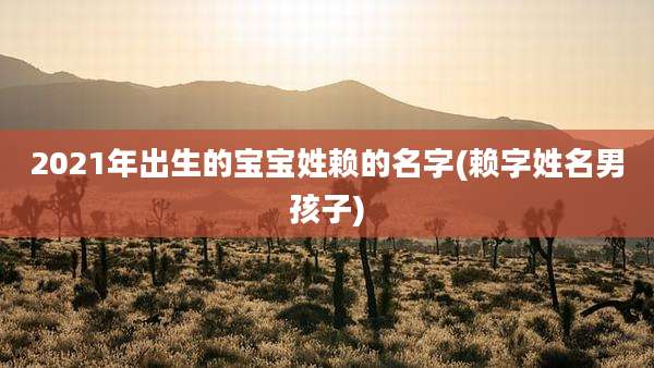 2021年出生的宝宝姓赖的名字(赖字姓名男孩子)