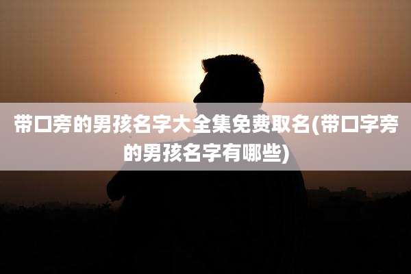 带口旁的男孩名字大全集免费取名(带口字旁的男孩名字有哪些)