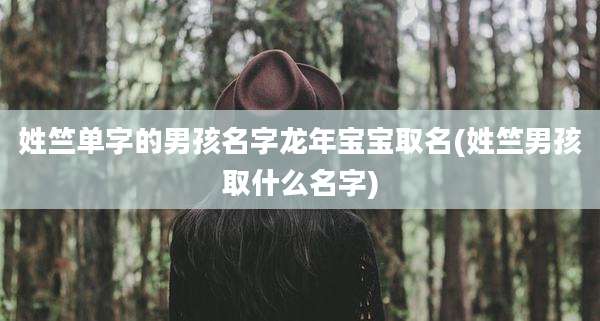 姓竺单字的男孩名字龙年宝宝取名(姓竺男孩取什么名字)