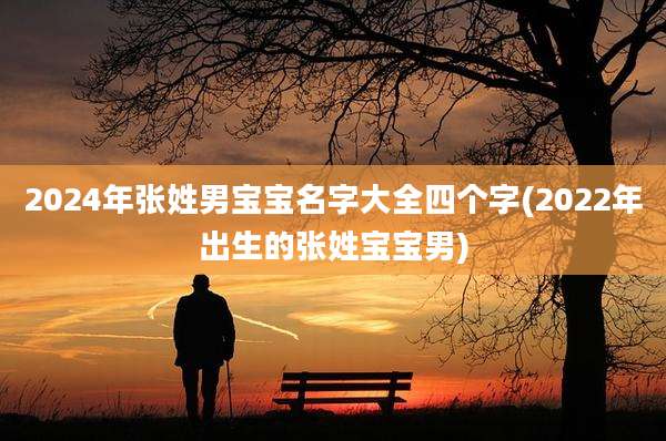 2024年张姓男宝宝名字大全四个字(2022年出生的张姓宝宝男)