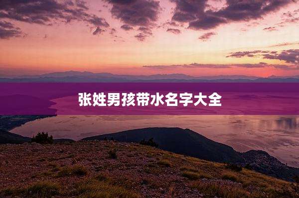 张姓男孩带水名字大全