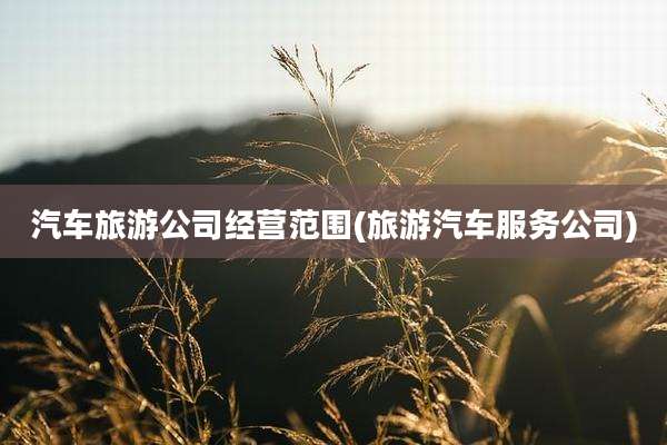 汽车旅游公司经营范围(旅游汽车服务公司)