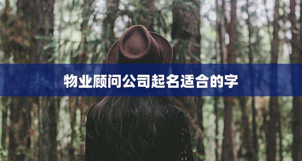 物业顾问公司起名适合的字