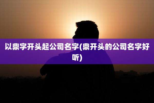 以鼎字开头起公司名字(鼎开头的公司名字好听)