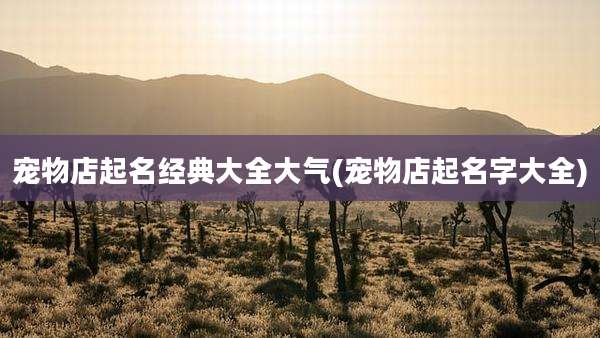 宠物店起名经典大全大气(宠物店起名字大全)