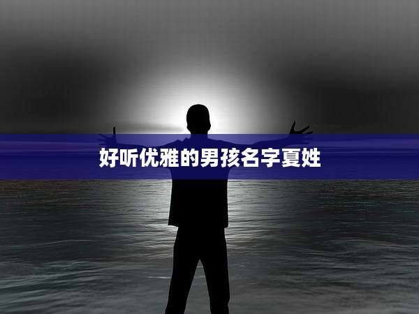 好听优雅的男孩名字夏姓