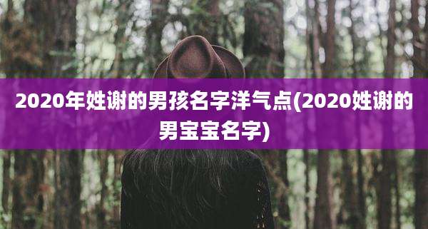 2020年姓谢的男孩名字洋气点(2020姓谢的男宝宝名字)