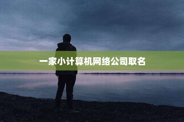 一家小计算机网络公司取名