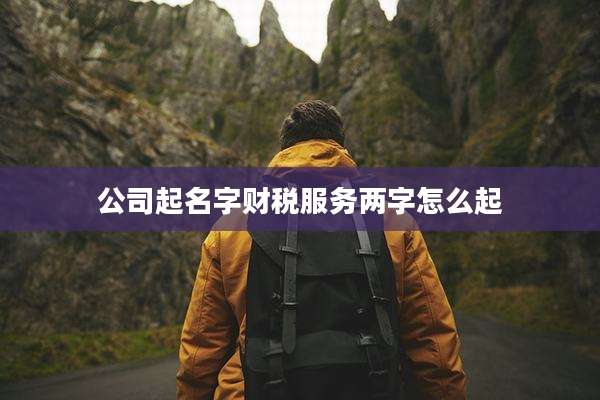 公司起名字财税服务两字怎么起