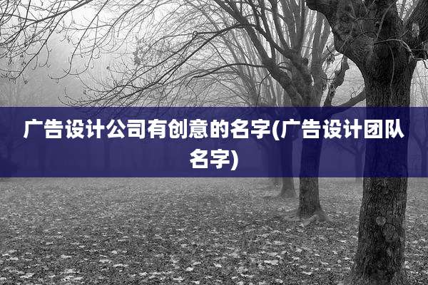 广告设计公司有创意的名字(广告设计团队名字)