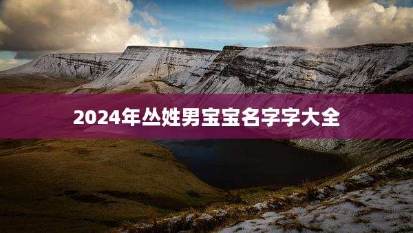 2024年丛姓男宝宝名字字大全