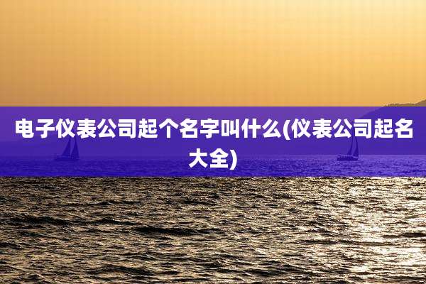 电子仪表公司起个名字叫什么(仪表公司起名大全)