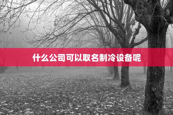什么公司可以取名制冷设备呢
