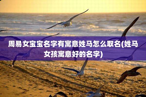 周易女宝宝名字有寓意姓马怎么取名(姓马女孩寓意好的名字)