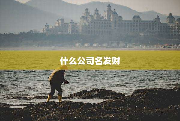 什么公司名发财