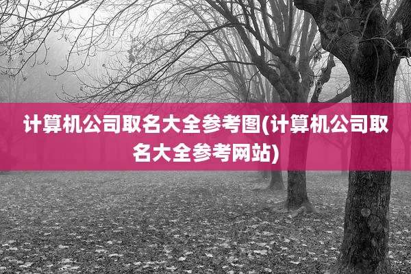 计算机公司取名大全参考图(计算机公司取名大全参考网站)