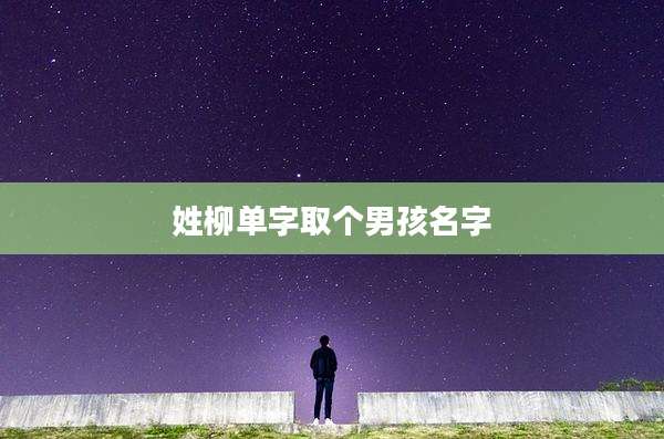 姓柳单字取个男孩名字